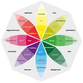 CÀPSULA FORMATIVA: CONSCIÈNCIA I GESTIÓ DE LES EMOCIONS