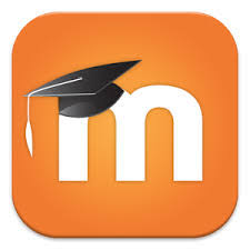 TALLER SOBRE MOODLE: DISSENYA I ADMINISTRA UNA PLATAFORMA DE FORMACIÓ EN LÍNIA (CURS ON-LINE)