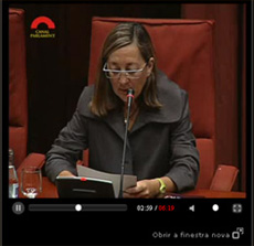 LA DEGANA COMPAREIX AL PARLAMENT DE CATALUNYA PER PARLAR DE LA LLEI DE CONSULTES POPULARS
