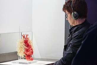 DESCOMPTE PER ALS COL·LEGIATS/DES A L’EXPOSICIÓ HUMAN BODIES